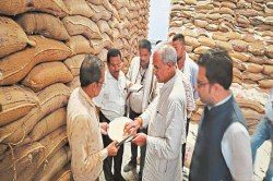 खबर का असर: खराब चावल की जांच के लिए पहुंची टीम, 2 दुकानों में 1600 बोरियों में
लगे कीड़े - image