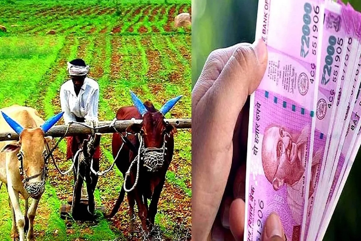 CG News: लखपति बना किसान, इस योजना के तहत सरकार से मिली मदद, संवर गई जिंदगी