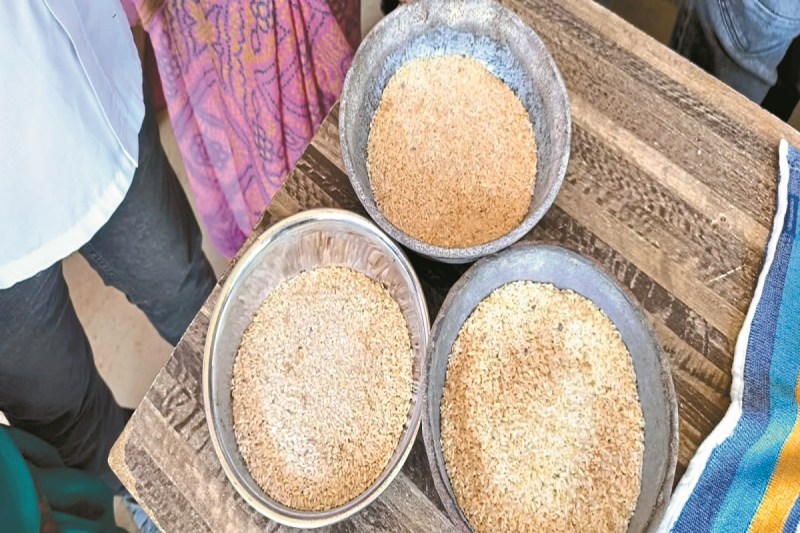 CG News: एक साथ तीन महीने का सड़ा चावल बांटा, 70 से 80 परिवारों में दिया घटिया राशन, कीड़े लगे बदबू आ रही