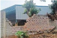 CG News: बाउंड्रीवाल तोड़ राइस मिल के घुसा 44 हाथियों का दल, कर्मचारियों में दहशत