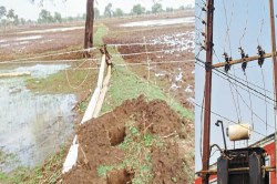 CG News: बारिश का मौसम आते ही बढ़ा खतरा, एक सप्ताह में करंट लगने से 4 लोगों की
मौत - image