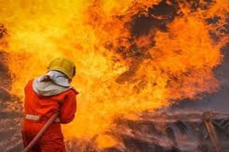 CG Job: अग्निशमन विभाग में 295 पदों पर निकली बंफर भर्ती, जल्दी करें आवेदन