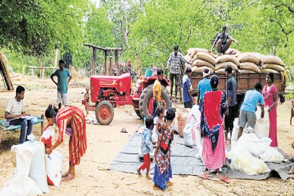 Ration कार्डधारियों को दिया जा रहा 4 माह का चावल, इस योजना के तहत ग्रामीणों को
मिला लाभ