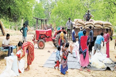 ration card cg news, cg hindi news