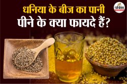 Coriander Seeds Water Benefits: पेट से जुड़ी से लेकर डायबिटीज तक,धनिया का पानी
पीने से मिलते हैं ये 5 फायदे - image