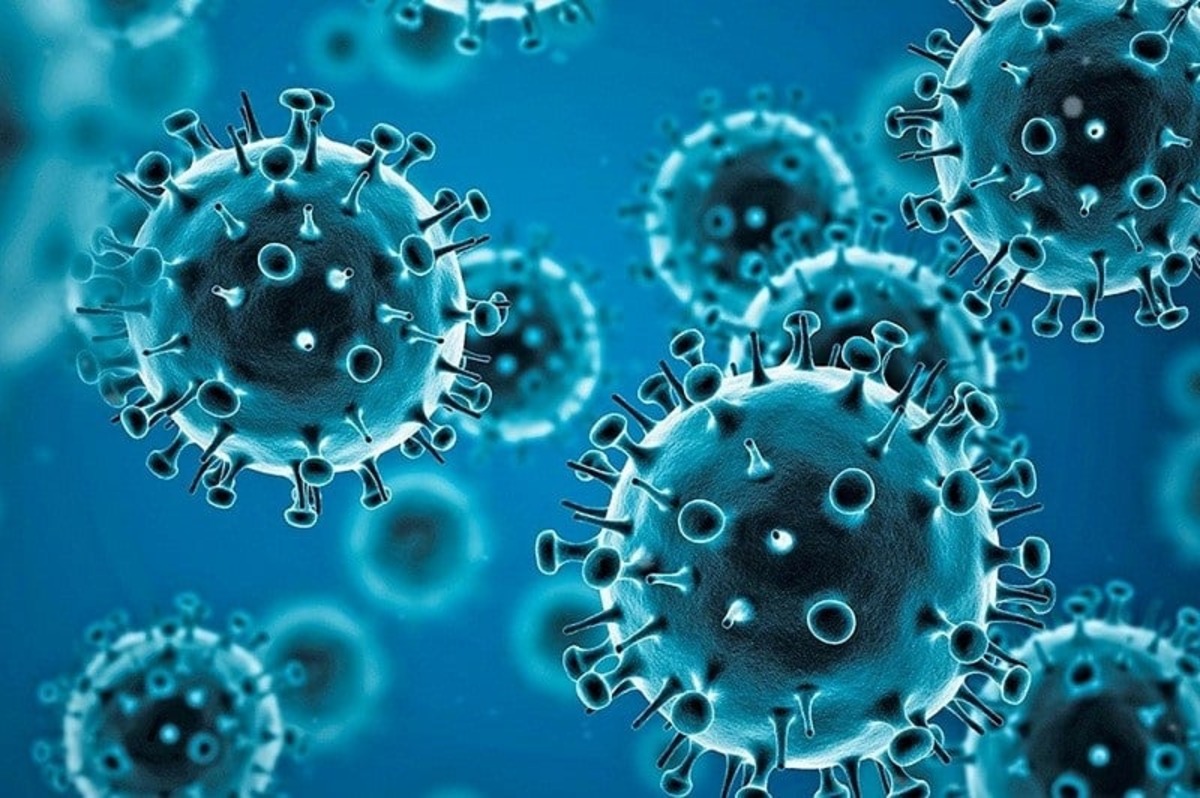 Baba Vanga's Dire Prediction: Return of Deadly Pandemic