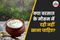 Should we avoid curd in monsoon season फोटो सोर्स – Freepik