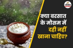 Curd In Monsoon: क्या बारिश के मौसम में दही खा सकते हैं? जानिए आयुर्वेद के
अनुसार पूरी बात - image