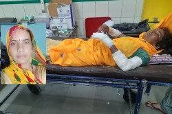 Dausa News: हेमा को बचाने के लिए जंगली सूअर से जा भिड़ी रेखा, घायल ने कहा- मौत
के मुंह से खींच लाई - image