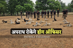 अपराध रोकने पुलिस महकमें में भर्ती हुए डॉग ऑफिसर्स, चोरी, डकैती, मर्डर केस
सुलझाएंगे - image
