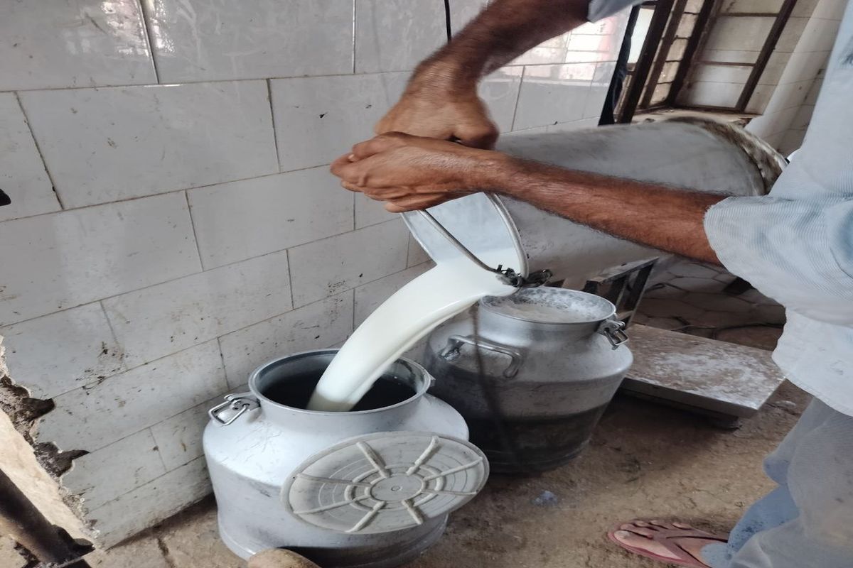 दूध में दम: भारत में नंबर दो बना राजस्थान