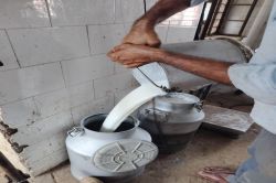 दूध में दम: भारत में नंबर दो बना राजस्थान - image