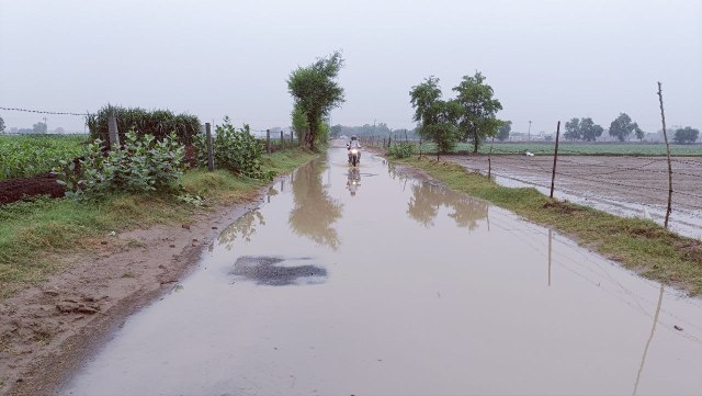 Heavy rains in Sriganganagar