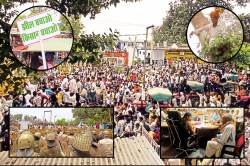 Rajasthan: 300 ट्रैक्टर-ट्रॉलियों के साथ पहुंचे किसानों को पुलिस ने रोका… 7 घंटे
चला प्रदर्शन, सरकार को भेजा मांग पत्र - image
