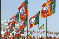 एमपी में फिर जीता भगवा दल, दो नगर परिषदों में बने बीजेपी के अध्यक्ष - image
