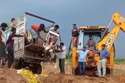 Fish Transport Ban: प्रजनन काल में मछली शिकार पर रोक, नियम तोड़ने वालों पर होगी
सख्त कार्रवाई - image