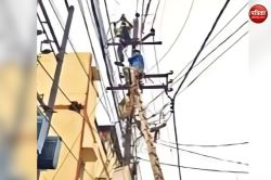 सिविल लाइंस में चूहे ने गायब करवा दी आधे शहर की बिजली, फ्लैश ओवर होने से हुए
लोकल फाल्ट, जाने मामला - image