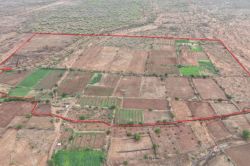 Kota: 5 बुलडोजर, 120 पुलिस कर्मी, और 56 वनकर्मियों ने मिलकर हटाया 500 बीघा
वनभूमि से अवैध अतिक्रमण - image
