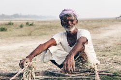 CG Monsoon 2025: प्रदेश में मानसून की बेरूखी से बीज खराब होने का खतरा, किसानों
की चिंता बढ़ी - image