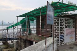 Udaipur Tourism: फतहसागर झील में फर्म डेढ़ माह में भी नहीं उतार सकी इको फ्रेंडली
बोट, पर्यटक मायूस; UDA ने दिखाई सख्ती - image
