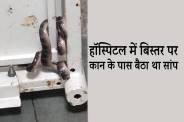 gwalior
