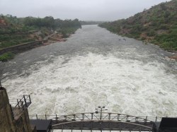 पंचमहाल, दाहोद, बोरसद में मूसलाधार बारिश, जनजीवन हुआ प्रभावित - image