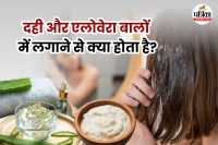 DIY hair mask with curd and aloe vera