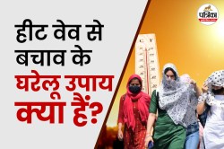Heat Wave: धूप में निकलने से पहले लगाएं अमृतधारा, लू से मिलेगा बचाव, जानिए बनाने
का तरीका - image
