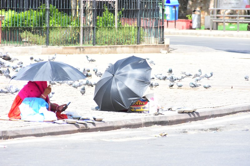 जयपुर में सोमवार को तेज गर्मी के चलते छतरी तानकर पक्षियों के लिए दाना बेचती एक महिला। फोटो-पत्रिका