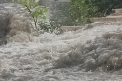 Weather Alert: राजस्थान के 19 जिलों के लिए आंधी-तूफान के साथ भारी बारिश का बड़ा
अलर्ट, 4 दिन जमकर मेहरबान रहेगा मानसून - image