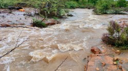 Rain Update: भारी बरसात, 40 साल का रेकॉर्ड टूटा, 33 फीट पहुंचा भीमलत बांध का
जलस्तर - image