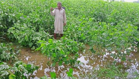 अच्छी बरसात से होगी फसलों की अच्छी बढ़वार