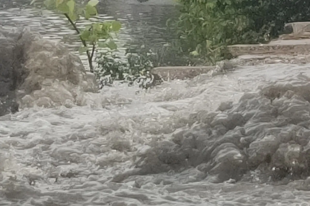  बारिश से नदियों में पानी का बहाव तेज, पत्रिका फोटो