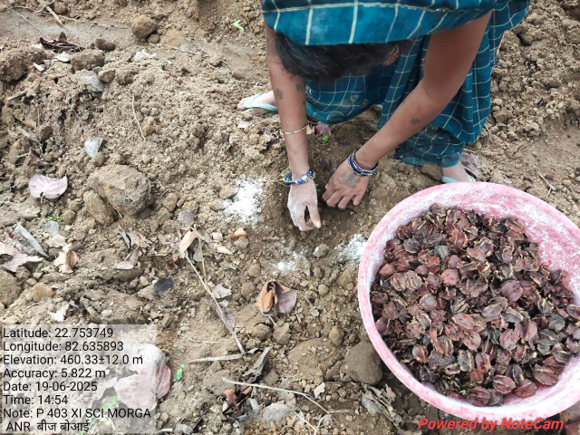 कोरबा में ड्रोन से सीड बॉल की बौछार(photo-patrika)