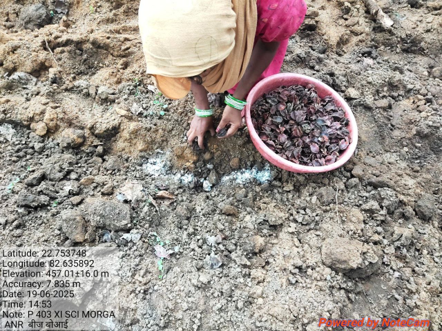कोरबा में ड्रोन से सीड बॉल की बौछार(photo-patrika)