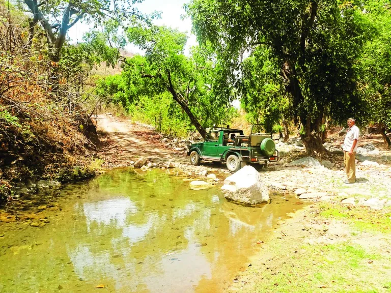 कुंभलगढ़ नेशनल पार्क, पत्रिका फोटो