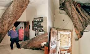 CG News: तीन मंजिला मकान के बीच से निकला विशालकाय पेड़, पर्यावरण दिवस पर दे रहा अद्भुत संदेश