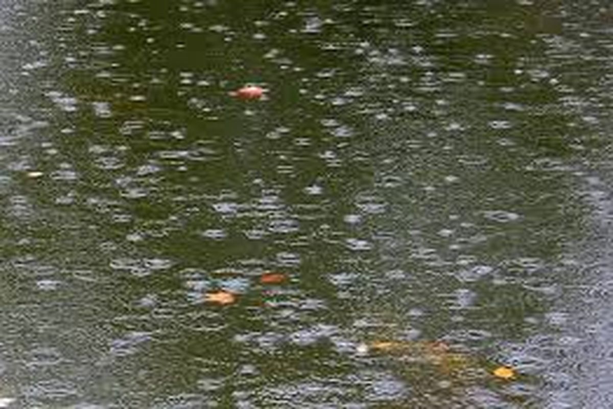 लोगों की जान से खिलवाड़ का प्रयास, तालाब के पानी में कैमिकल डाल संक्रमण फैलाया