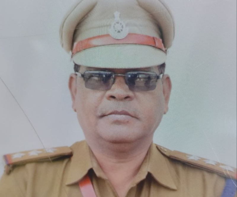 Inspector dies in bee attack in Ujjain