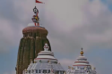 Jagannath Rath Yatra 2025: भगवान जगन्नाथ मंदिर से जुड़े हैं कई रहस्य, पढ़िए 5
गजब की बातें