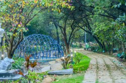 अब जयपुर डेयरी के पानी से चलेंगे जलधारा के फव्वारे-झरने - image