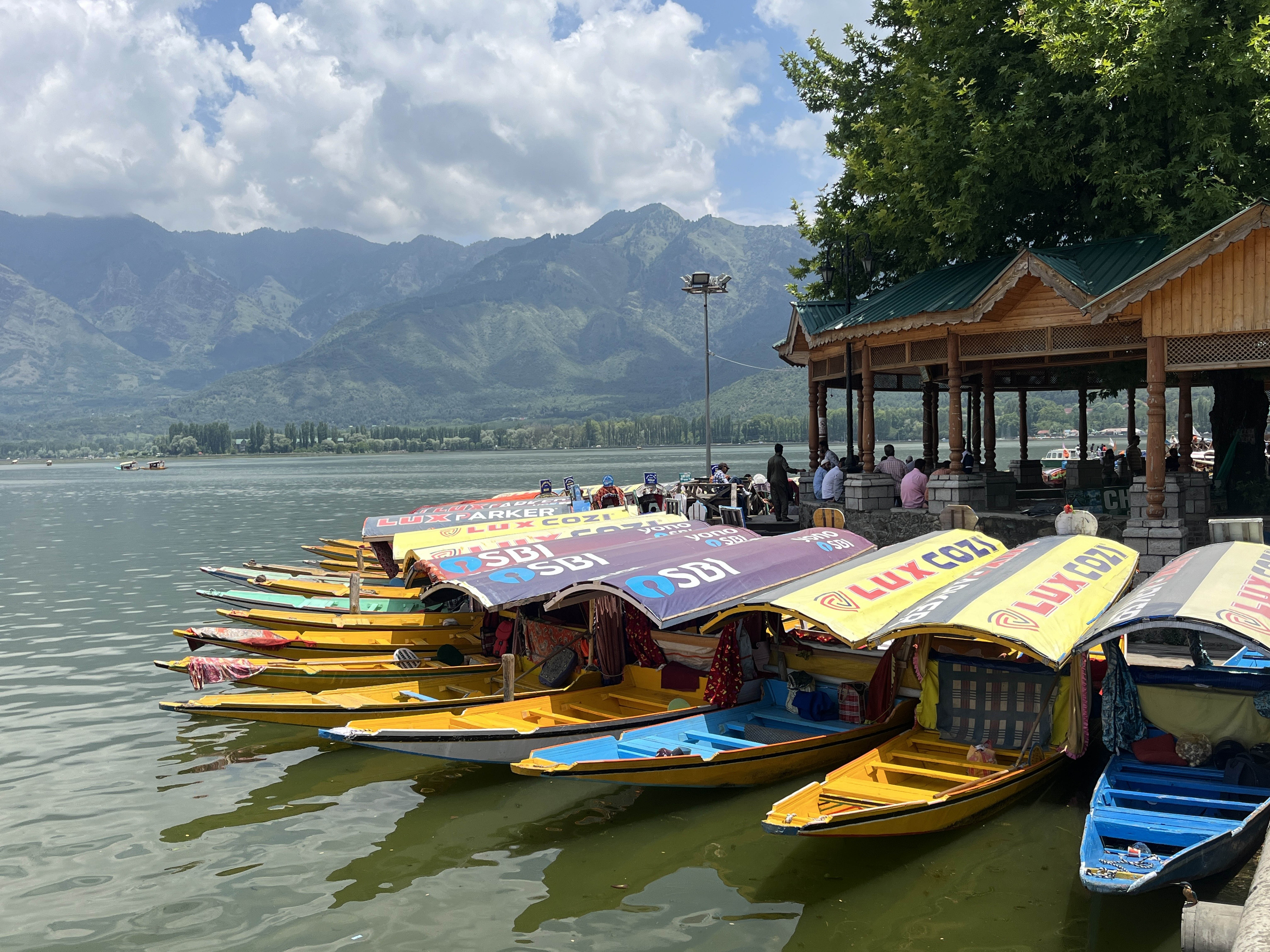 jammu kashmir : डल झील में शिकारा की सवारी का आनंद ले रहे पर्यटक