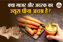 Carrot and Ginger Juice Benefits: ग्लोइंग स्किन से लेकर वजन घटाने तक, गाजर और
अदरक का जूस सेहत के लिए फायदेमंद - image