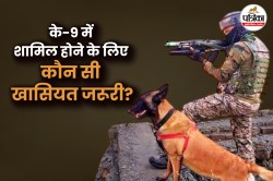 अमरनाथ यात्रा 2025 कल से शुरू, सीआरएफ के साथ के-9 भी तैनात, क्या है K-9 की
खासियत, सुरक्षा दस्ते में किसको मिलती है जगह? - image
