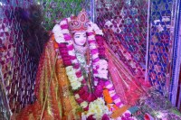 karni mata temple alwar