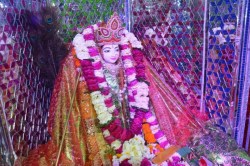 पहली बार करणी माता की 15 दिन से नहीं हो रही पूजा-अर्चना, सड़क टूटने से पुजारी
नहीं जा पा रहे मंदिर - image