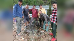 राजस्थान में यहां मूसलाधार बारिश, उफनते नालों में आ रहे मगरमच्छ, लोगों में दहशत - image
