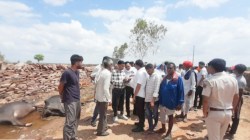 कोटा में कहर बनकर टूटा बिजली का तार, करंट से 21 भैंसों की मौत - image
