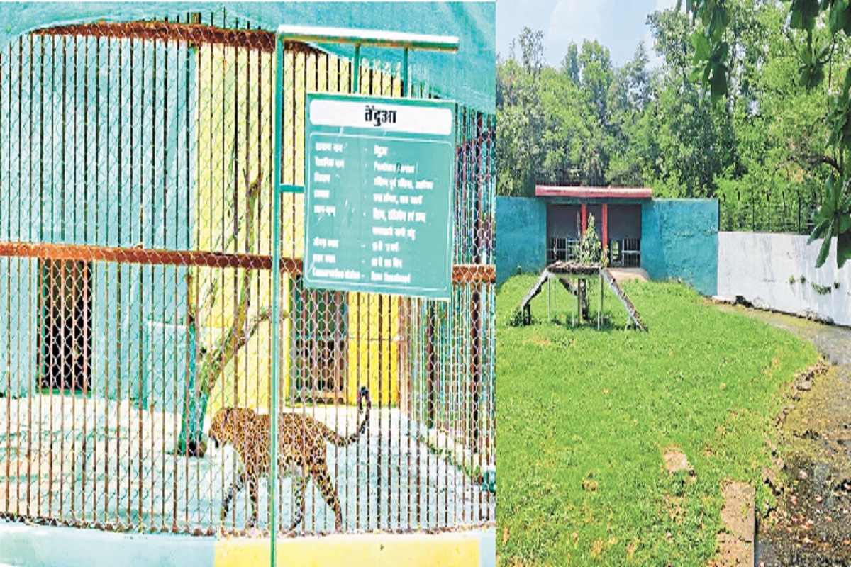 Bhilai: मैत्रीबाग में चल रही नए मेहमान के स्वागत की तैयारी, बढ़ जाएगी पर्यटकों
की संख्या