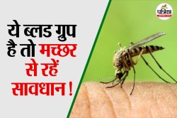 इन 3 Blood Group वालों के दुश्मन हैं मच्छर! मिनट में चूस लेते हैं खून, डेंगू –
मलेरिया का खतरा भी अधिक - image